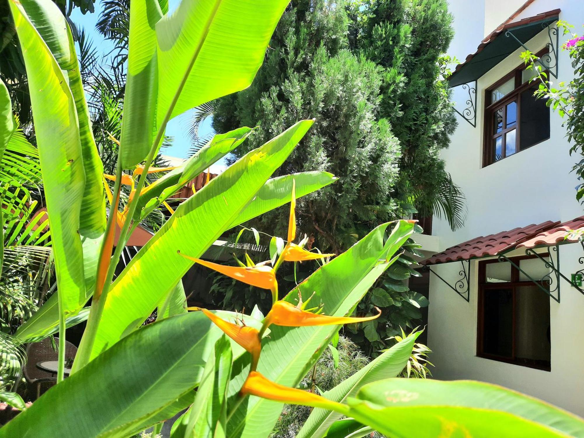 Casa Los Cantaros Hotel Boutique Oaxaca Kültér fotó