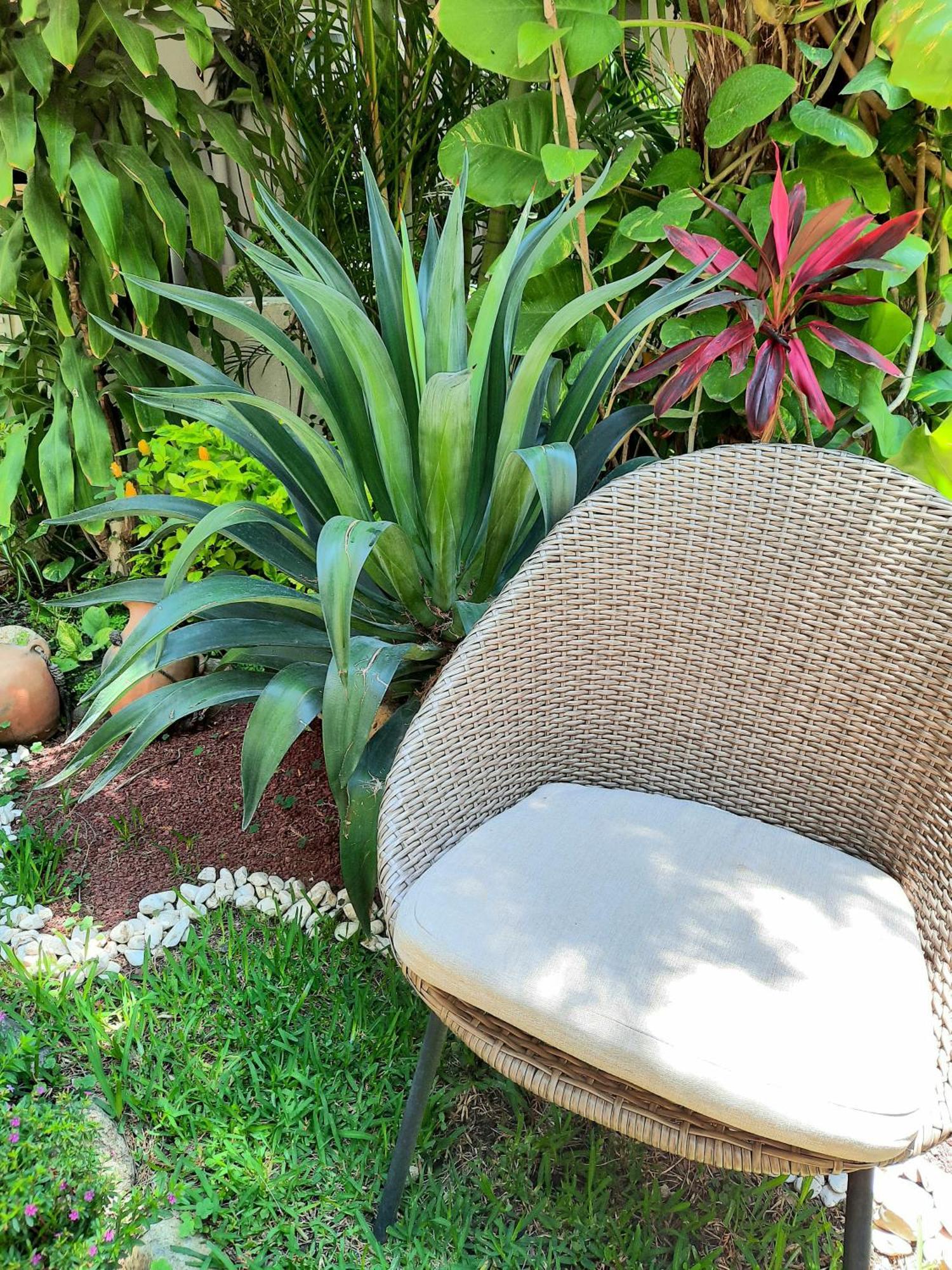 Casa Los Cantaros Hotel Boutique Oaxaca Kültér fotó